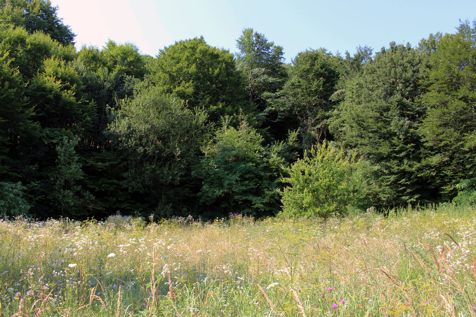 Aktív pihenés a Mecsekben 