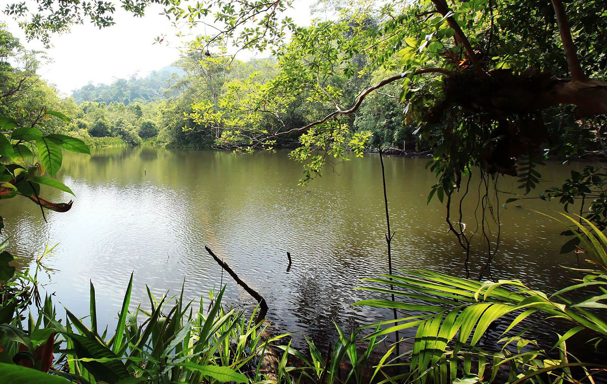 Élvezze a természet nyugalmát